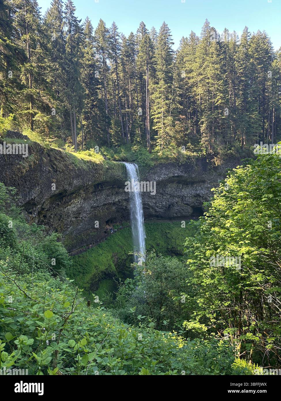 South Falls  in Silver Falls State Park in Oregon. - Smartphone Captured Stock Image