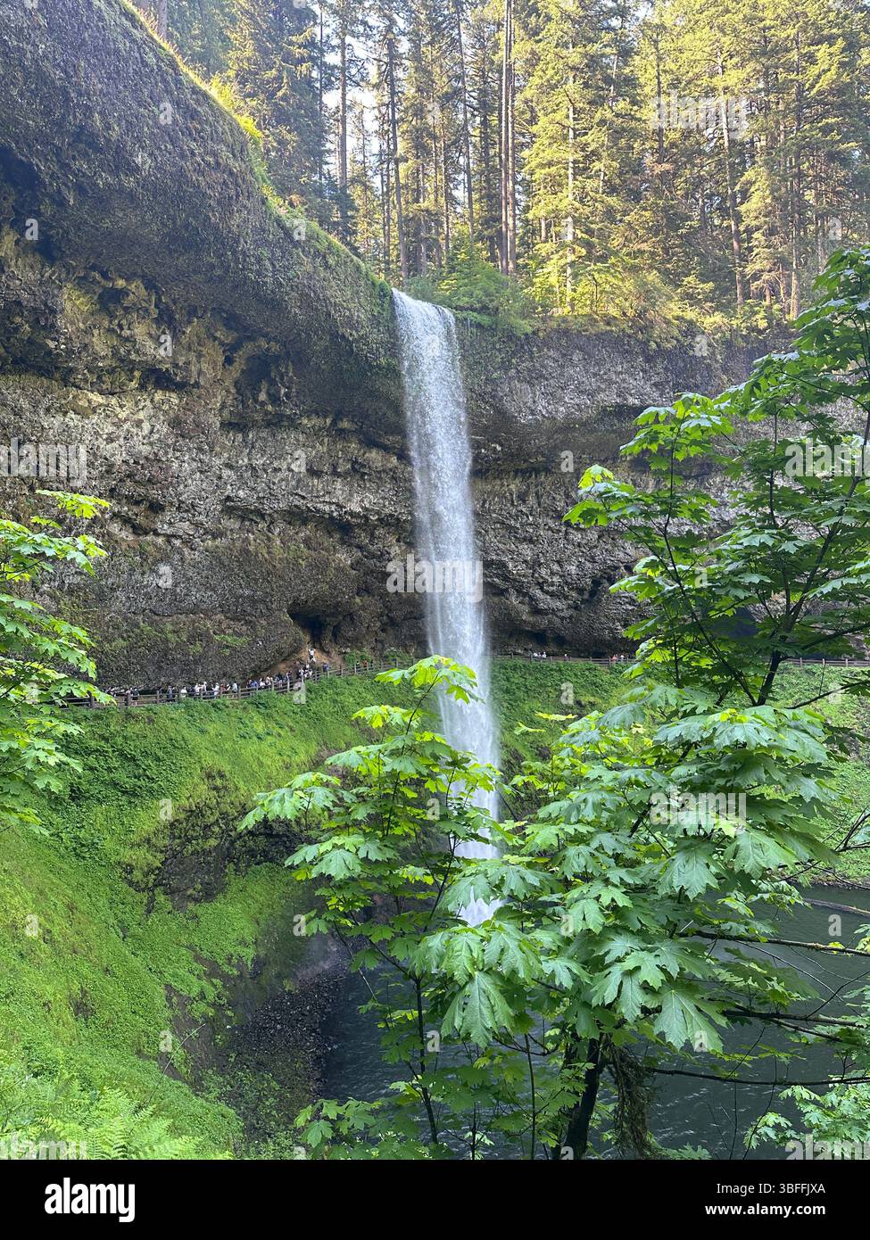South Falls  in Silver Falls State Park in Oregon. - Smartphone Captured Stock Image