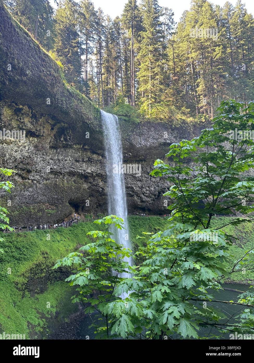 South Falls  in Silver Falls State Park in Oregon. - Smartphone Captured Stock Image