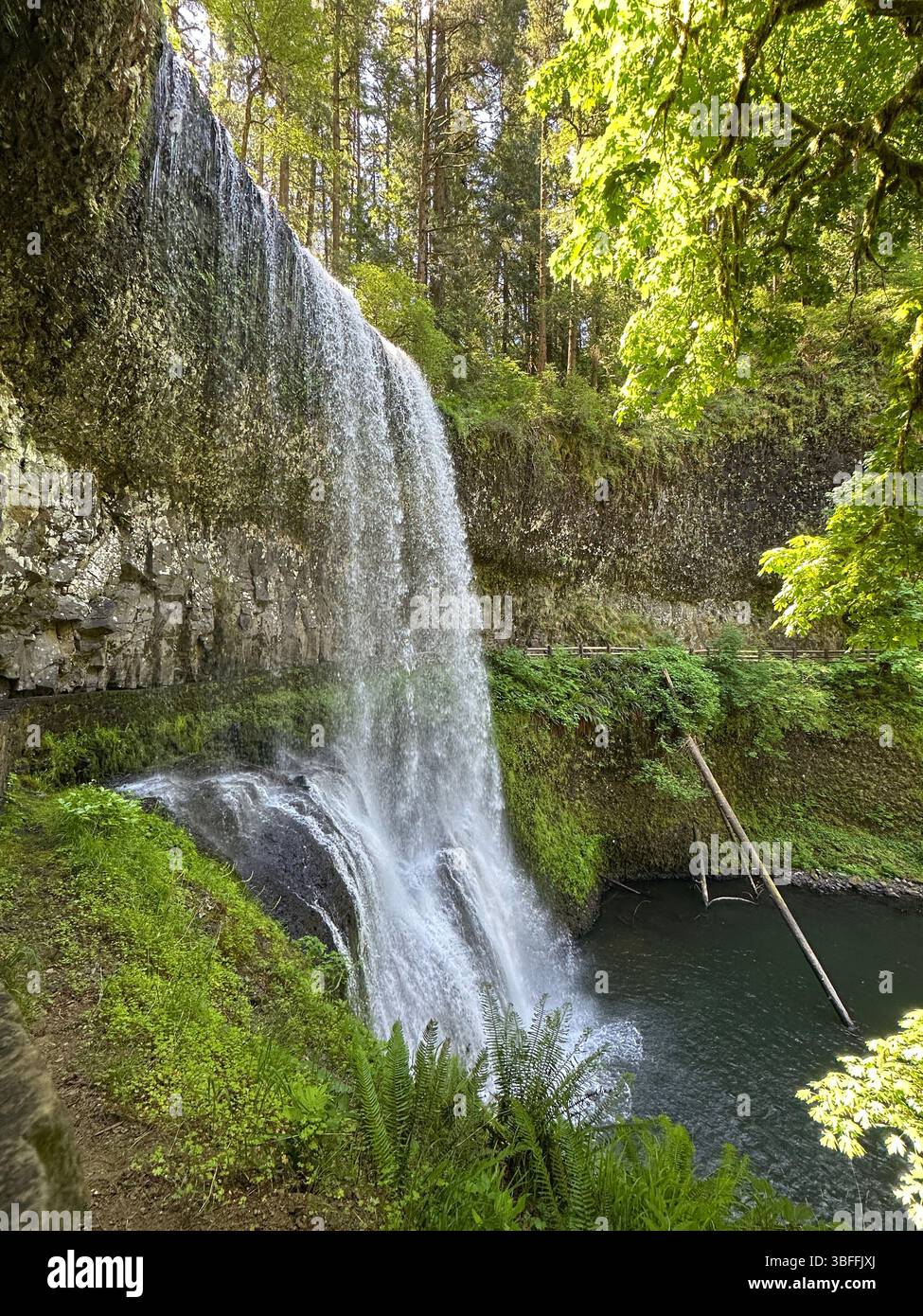 Lower south falls  in Silver Falls State Park in Oregon. - Smartphone Captured Stock Image