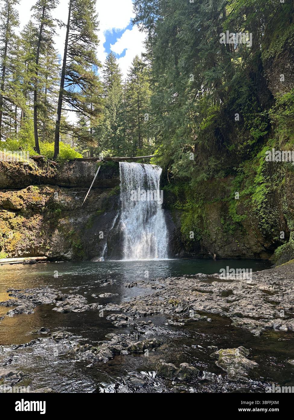 Upper north falls in Silver Falls State Park in Oregon. - Smartphone Captured Stock Image