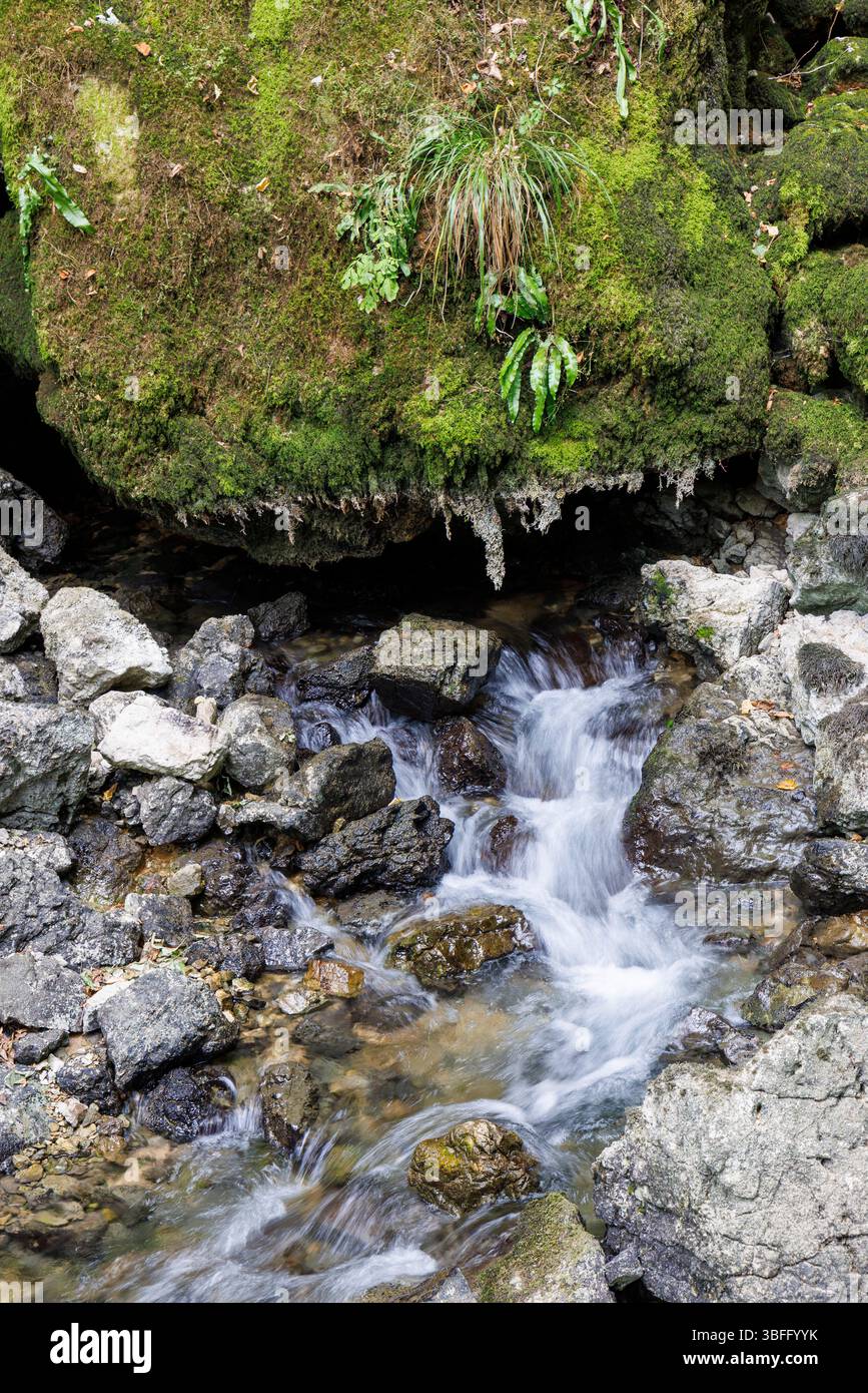 Stream emerging from rocks hi-res stock photography and images - Alamy