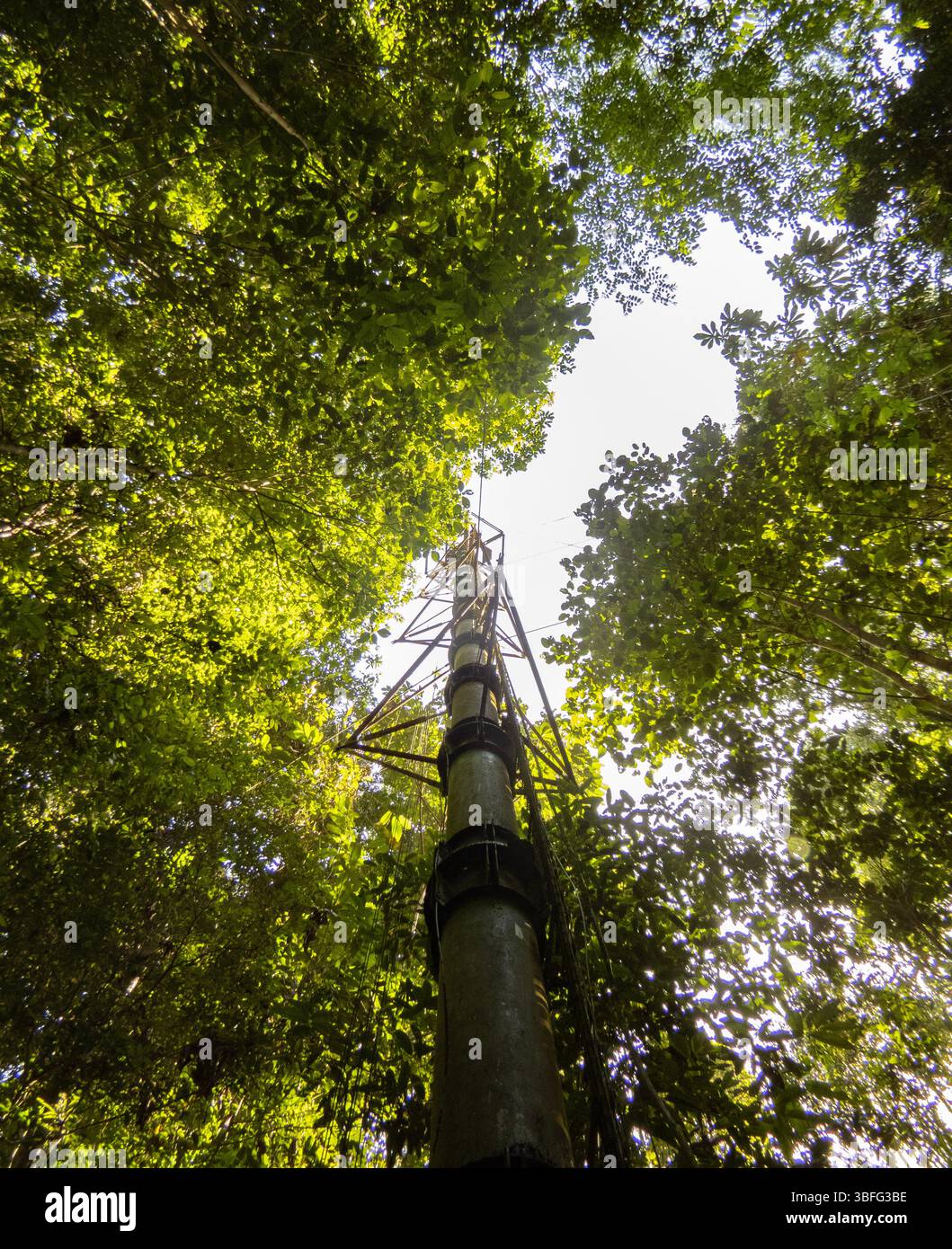 A metalic structure in the amazonian forest Stock Photo
