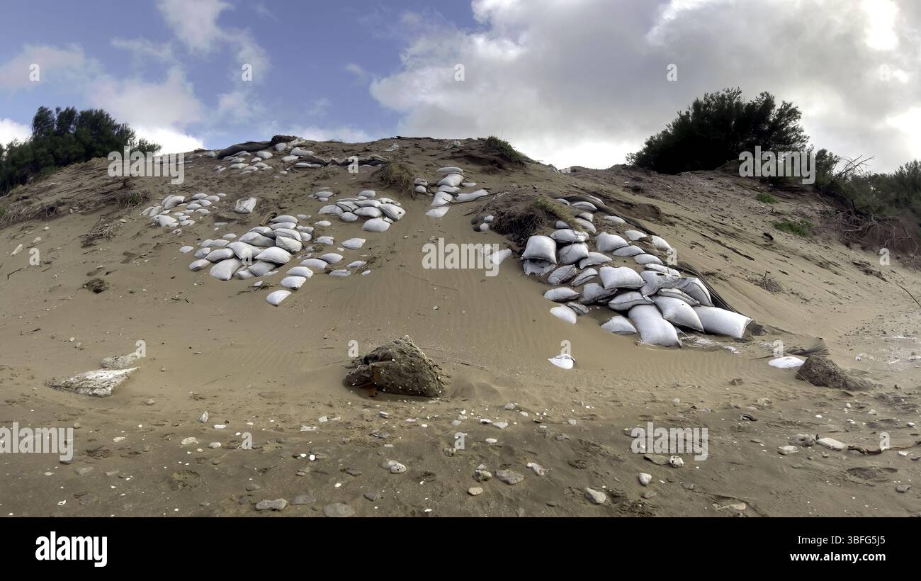 Climate Change Response: A Sandbag Barricade on a Beach Dune to ...