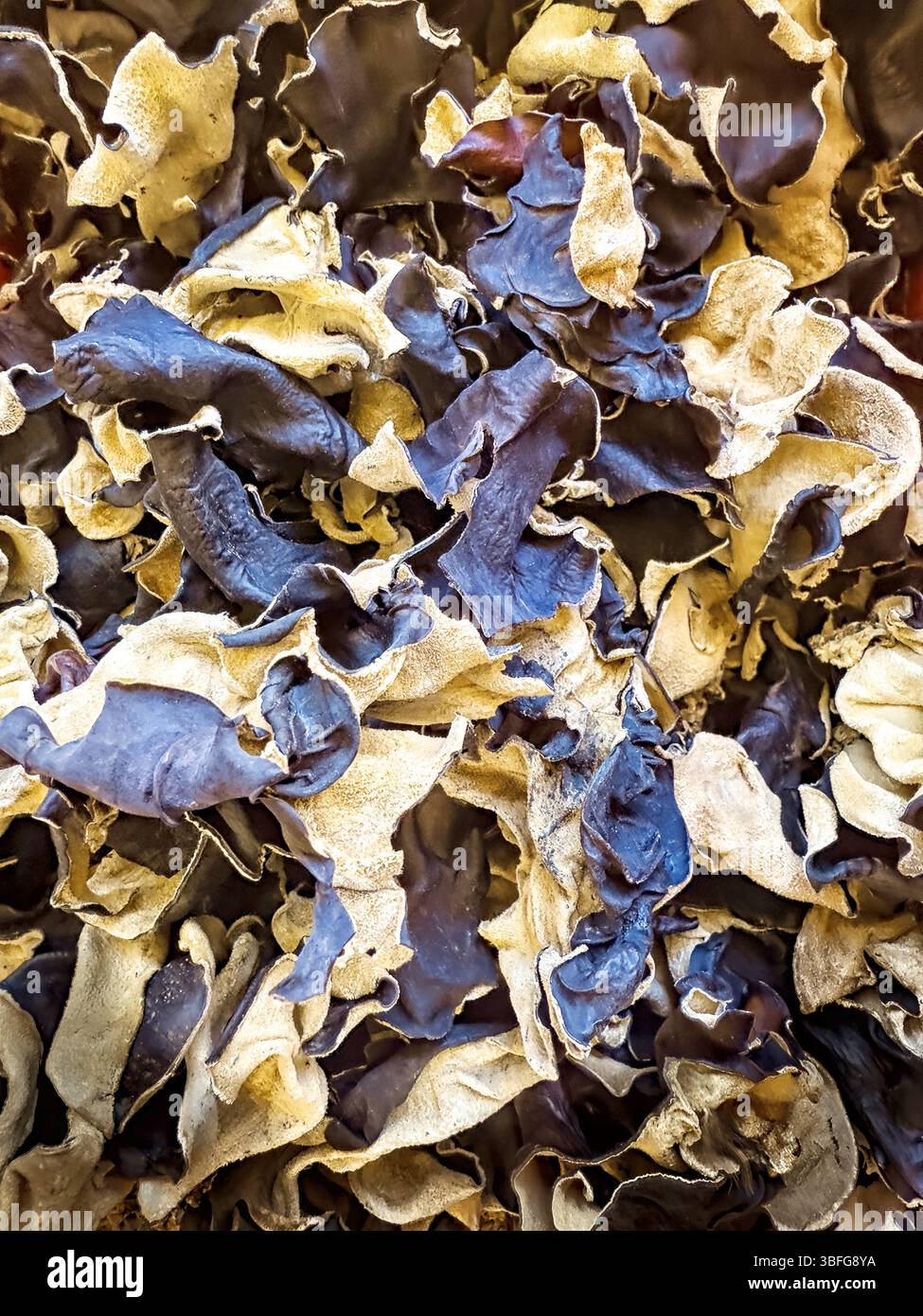 dried cloud ear fungus or woodear mushrooms, traditional chinese herbal ...
