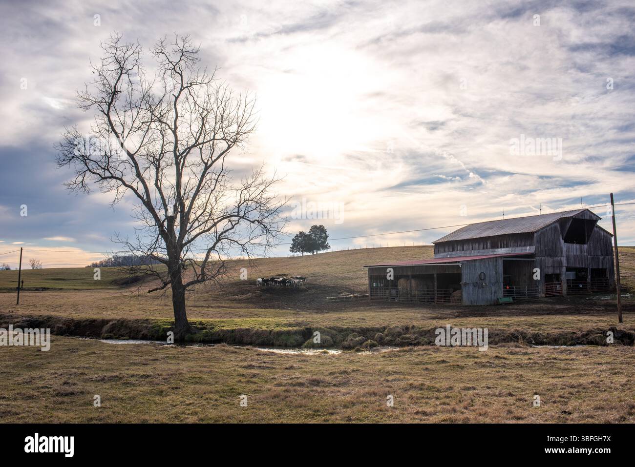 Rural scenes from picturesque Greene County, Tennessee Stock Photo - Alamy