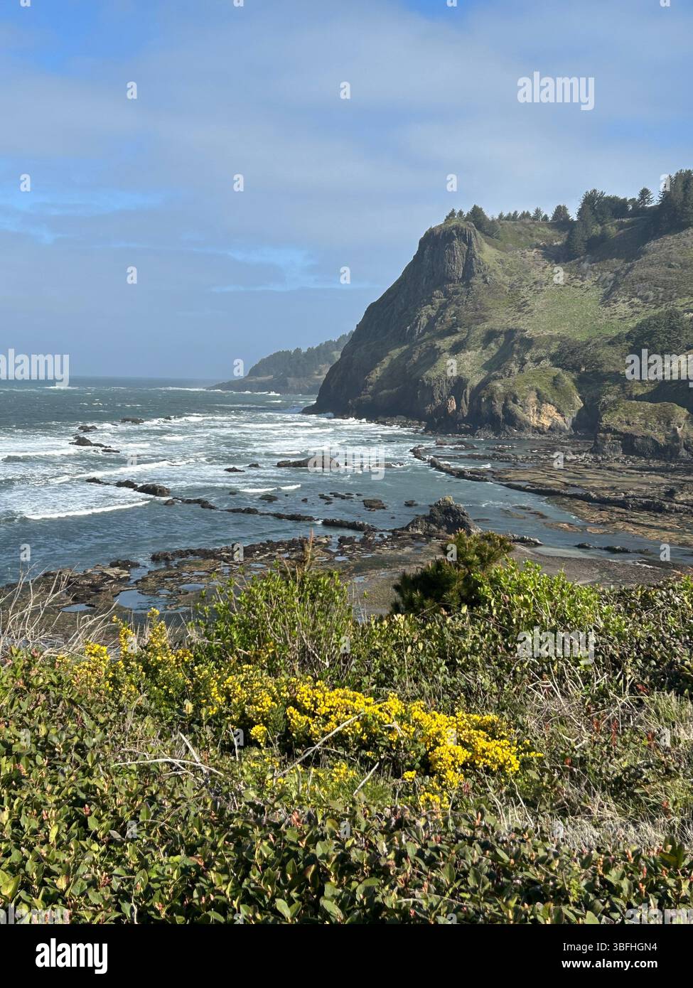 View of Otter Crest Beach and Marine Reserve at low tide with Cape Foulweather in distance. Central Oregon Coast. - Smartphone Captured Stock Image