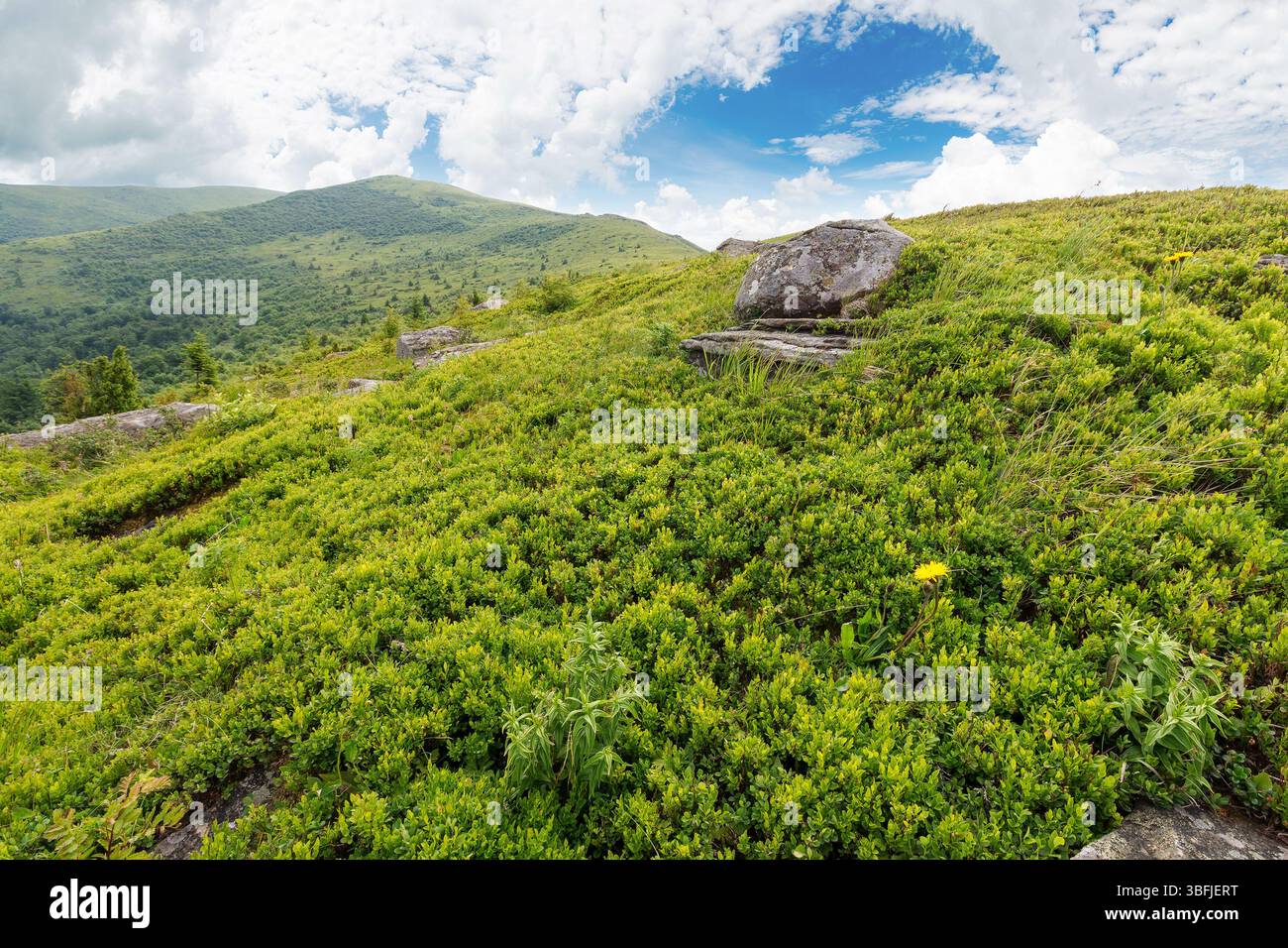 stones and rocks on the slope of alpine meadow. beautiful view. summer mountain landscape with cloudy sky. grassy hill top in the distant background. Stock Photo