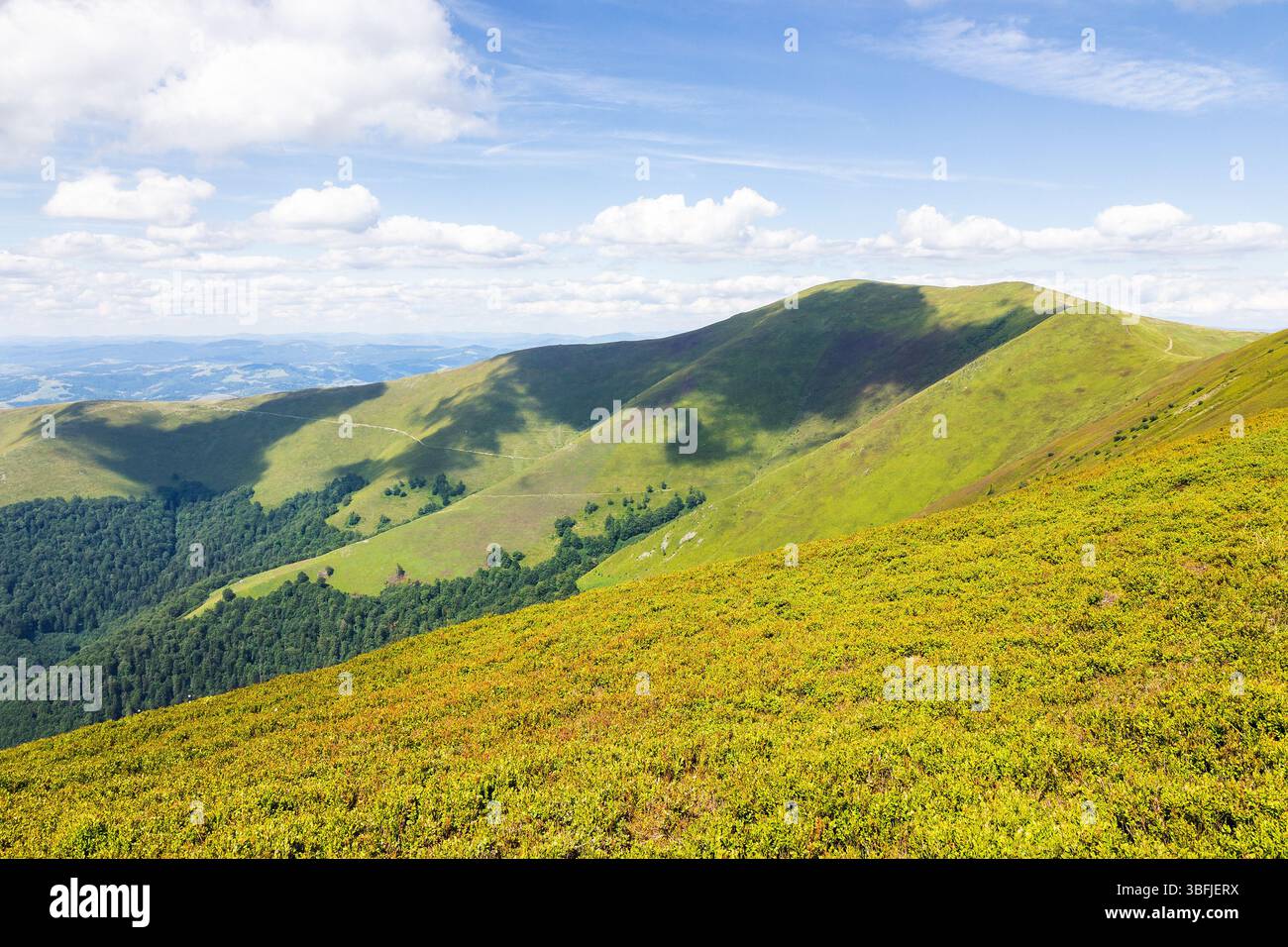 green mountain landscape with rolling hills. nature environment. beautiful view of borzhava ridge on a sunny day. outdoor adventure. grassy alpine mea Stock Photo