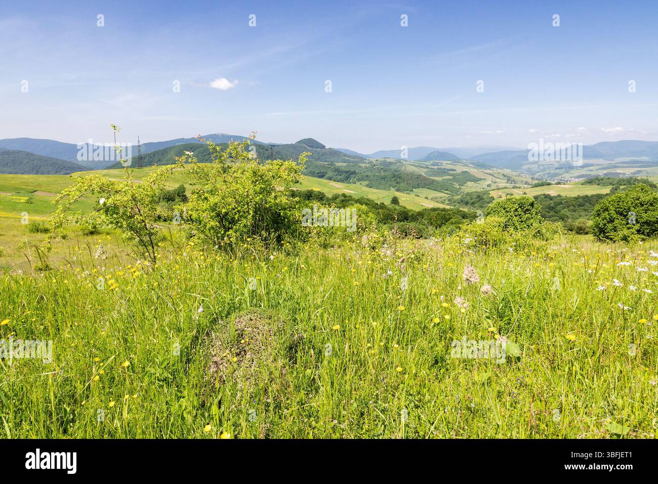 rural fields with meadows and forested hills. village in the valley. alpine countryside landscape in summer with mountain range in the distance. sunny Stock Photo