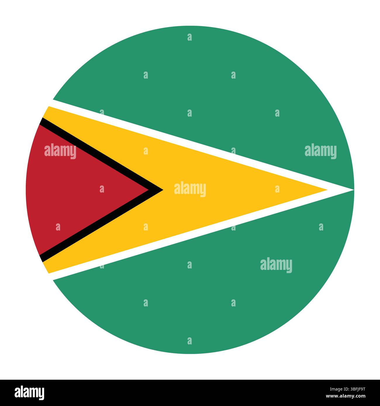 Flag of Guyana. Guyana circle flag logo icon computer vector illustration design. Stock Vector