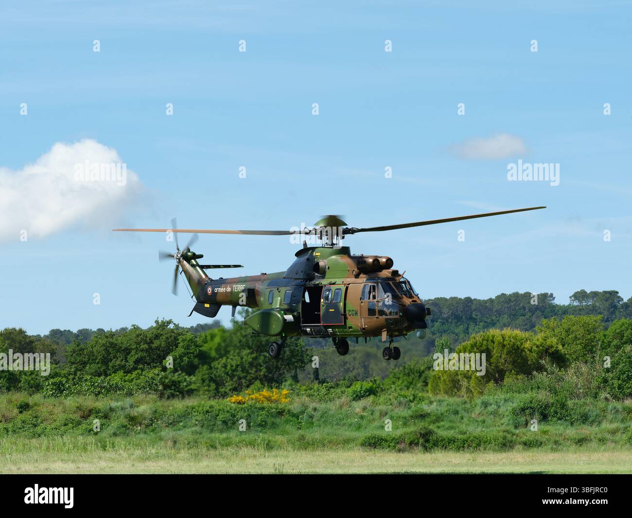As 532 cougar hi-res stock photography and images - Alamy
