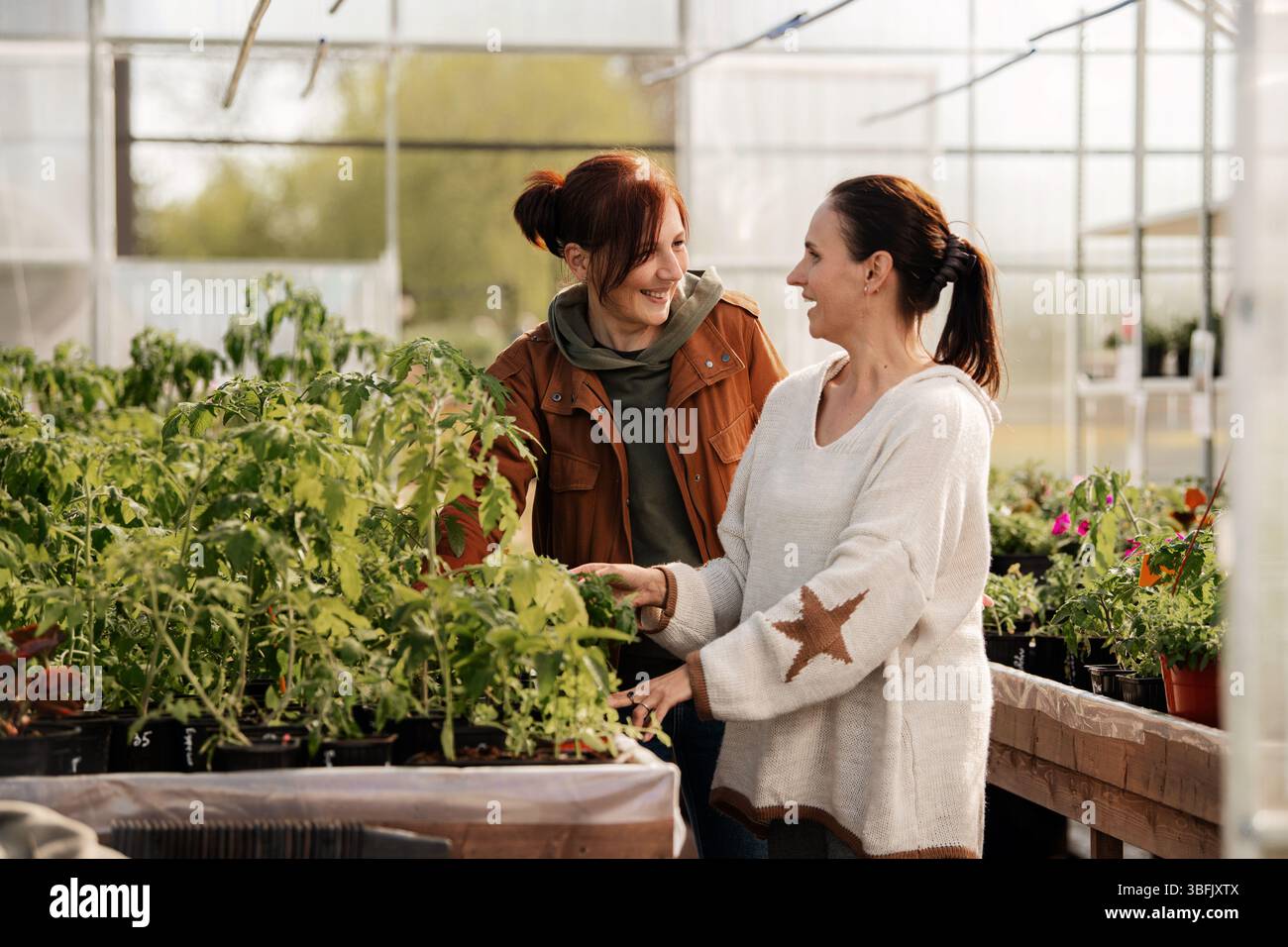 Two women talking while standing among plants in a greenhouse Stock ...