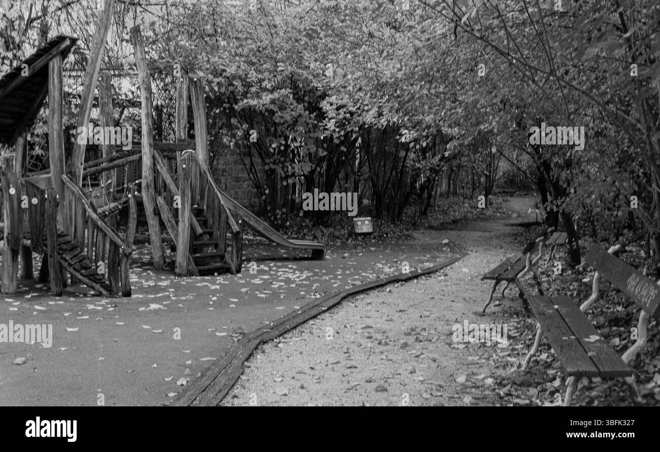 Images Gratuites : arbre, la nature, branche, neige, hiver, noir et blanc,  feuille, fleur, tronc, vieux, printemps, Monochrome, saison, des arbres,  branches, à feuilles caduques, chêne, des bois, Photographie monochrome,  Tige de, image size:1300x892