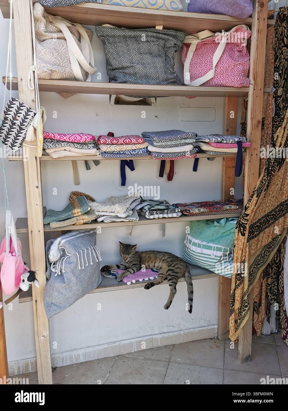 Street cat in Spartochori village on Meganisi Island, Greece finds a very comfortable place for an afternoon snooze on the shelf of a souvenir shop. - Smartphone Captured Stock Image