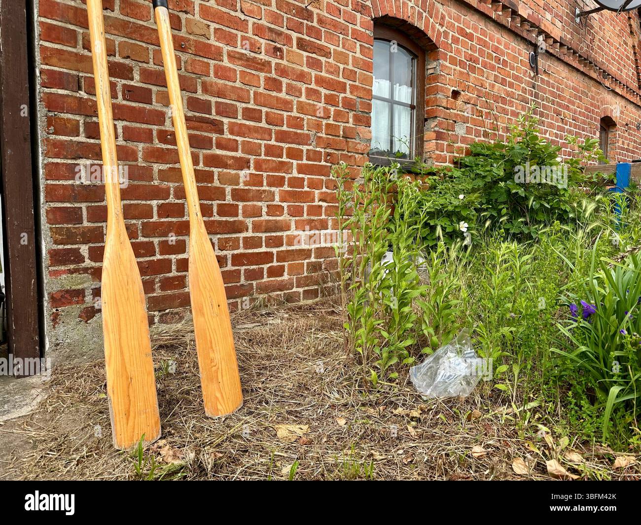 Two wooden paddles standing against a brick wall in a garden of a traditional house in Mecklenburg-Vorpommern, Germany - Smartphone Captured Stock Image