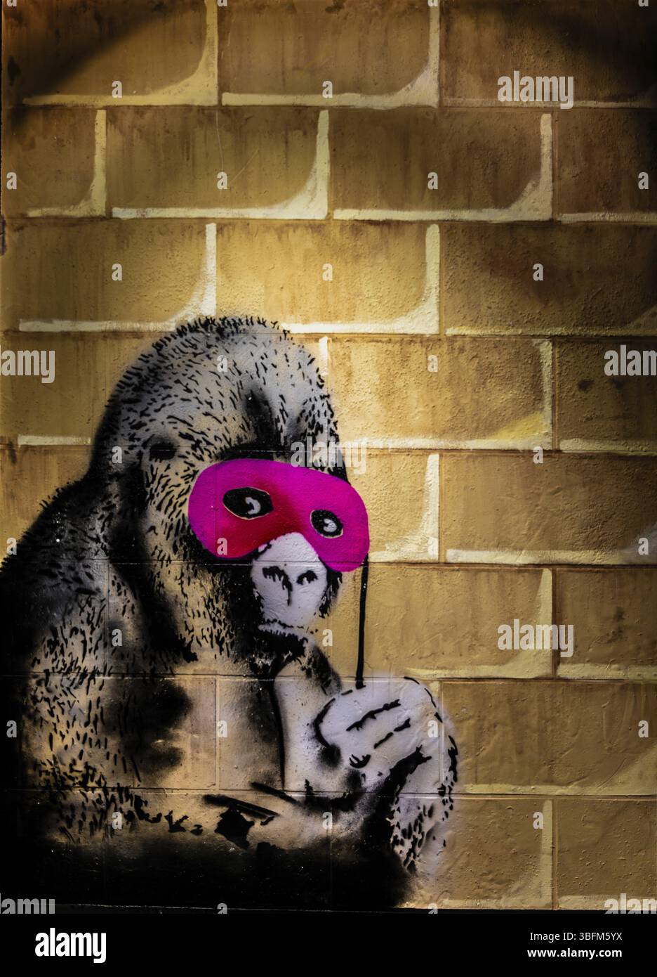 Gorilla in a pink mask hi-res stock photography and images - Alamy