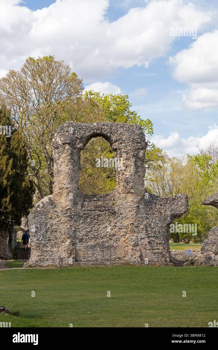 Ruins The Abbey Of St Edmund Bury St Edmunds West Suffolk England ruins-the-abbey-of-st-edmund-bury-st-edmunds-west-suffolk-england