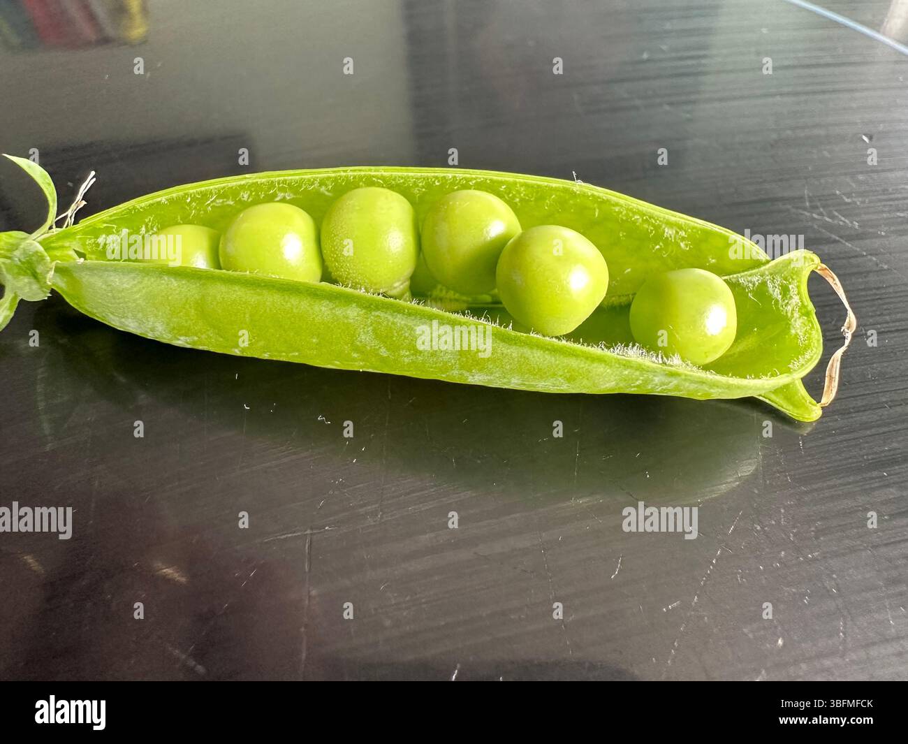 Peas in a Pod - Smartphone Captured Stock Image