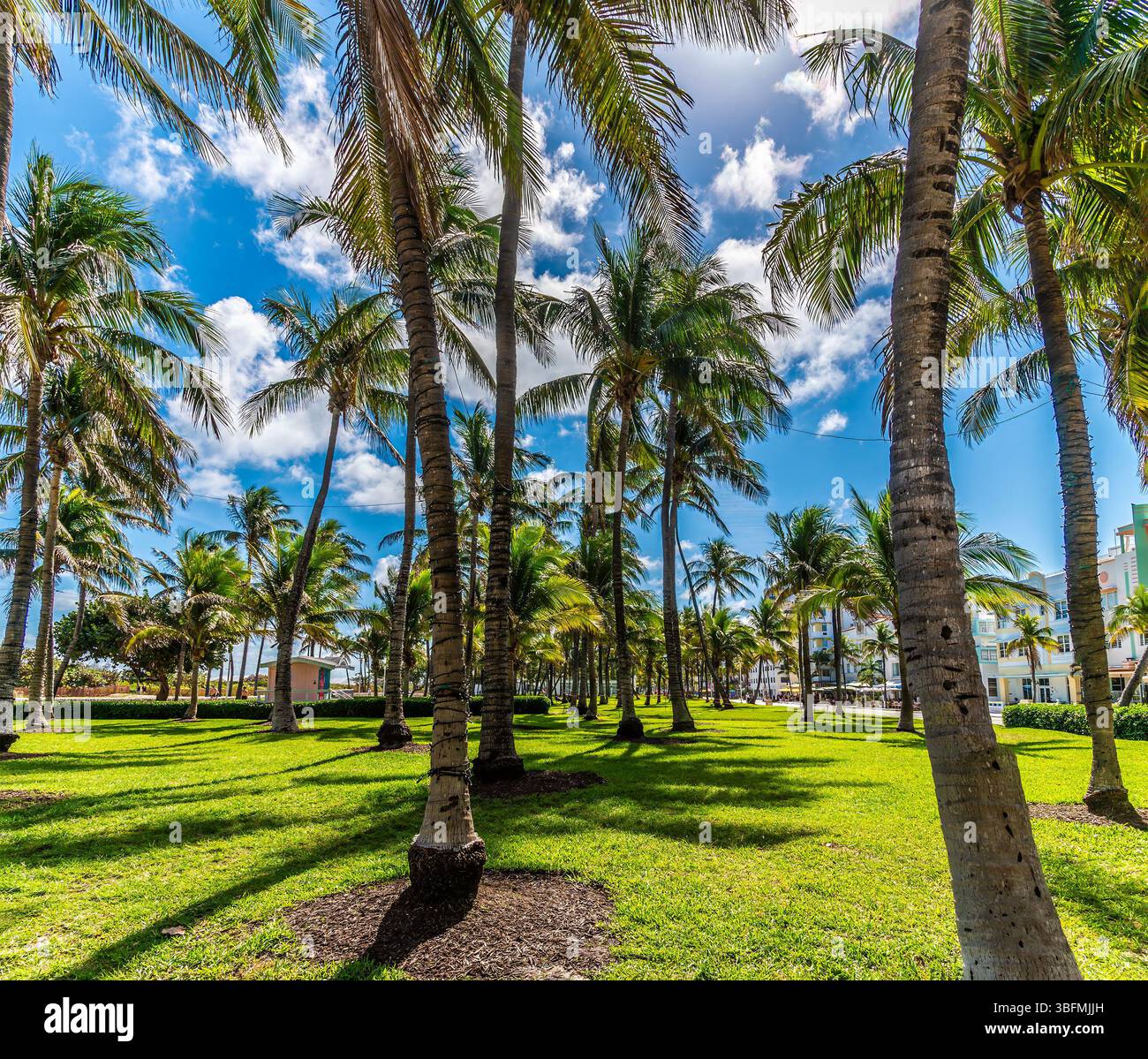 A view across Lummus Park beside the South Beach in Miami in springtime Stock Photo