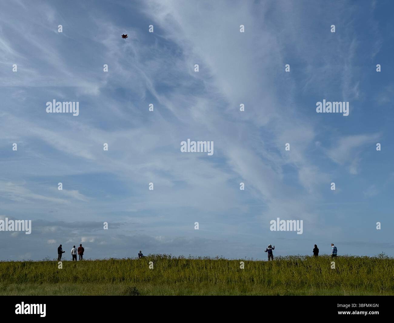 Friends from East London, Birmingham and Pakistan competing in a kite flying competition in Leysdown on sea in Kent, UK Stock Photo