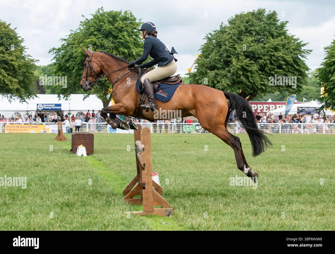 Show Jumping at Bath and West Show 2025 Stock Photo - Alamy