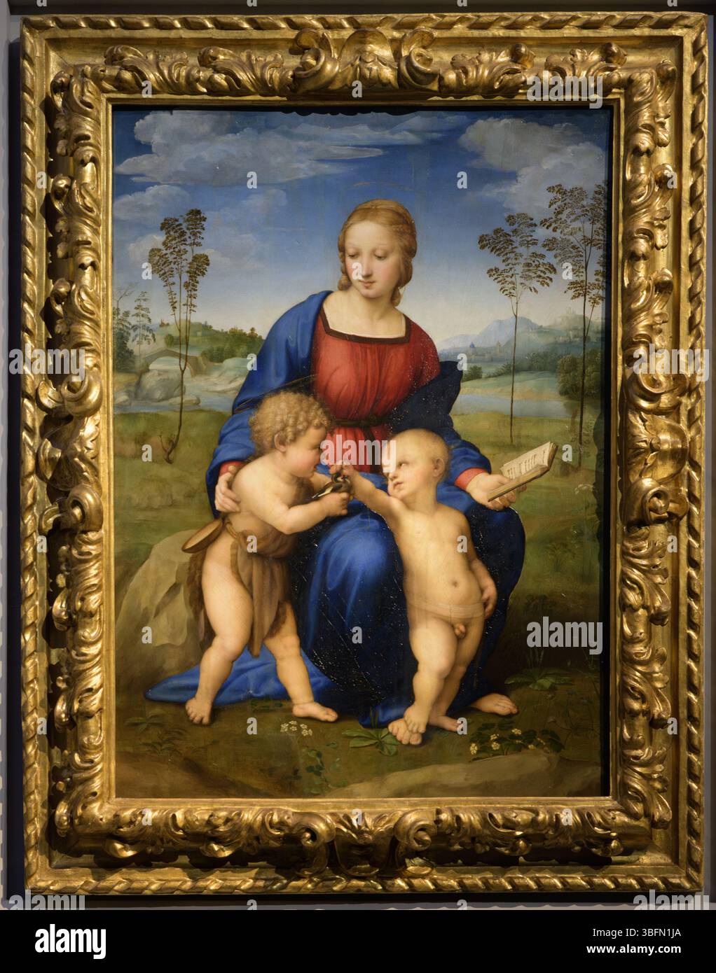 madonna-of-the-goldfinch-oil-