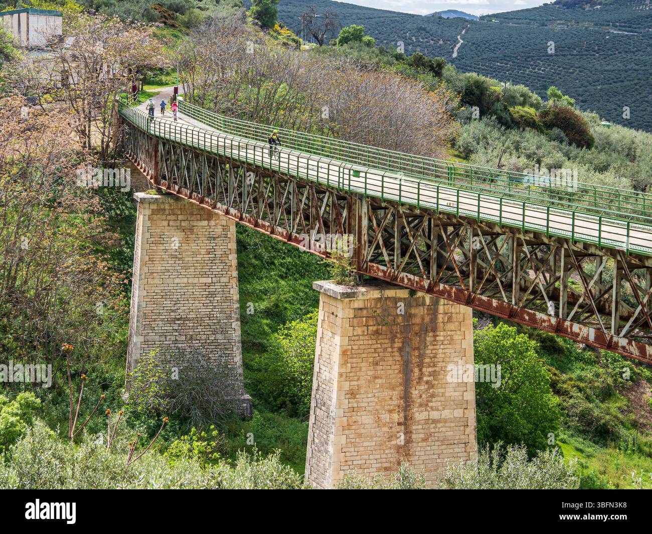 Cyclist on a bridge, cycle path Via Verde Del Aceite, old railroad ...