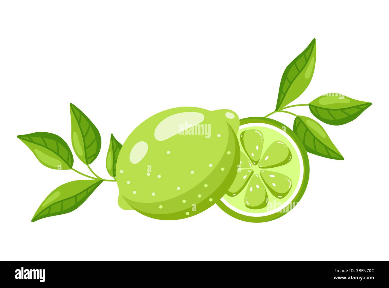 Bright Lime with Green Leaf and Slice, Flat style Stock Vector