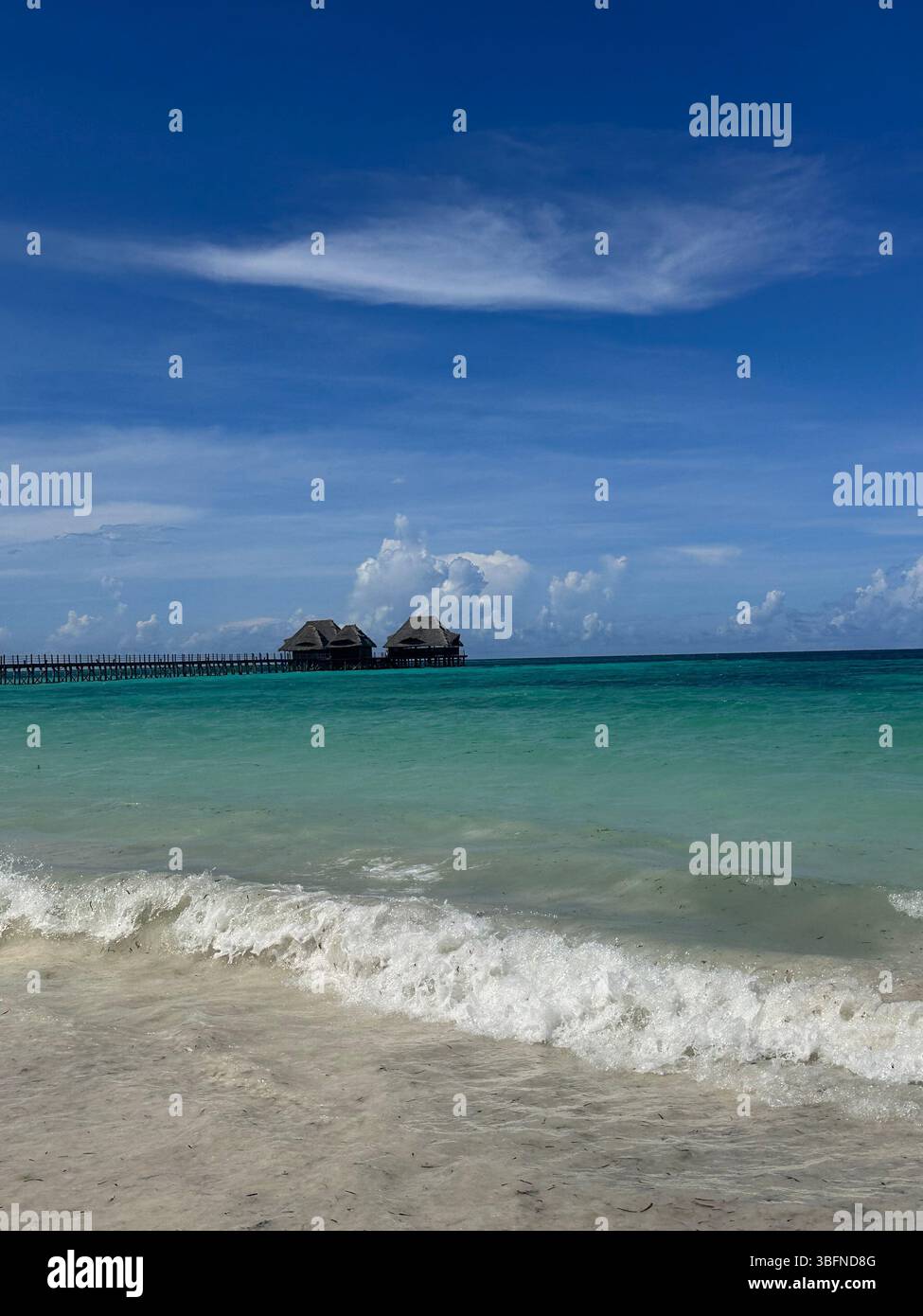 tall palm trees rocking in the wind under a big blue and clear sky - Smartphone Captured Stock Image