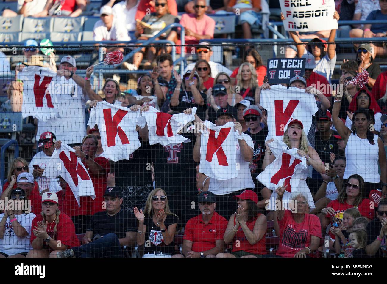 Fans cheer during an NCAA softball Women's College World Series game