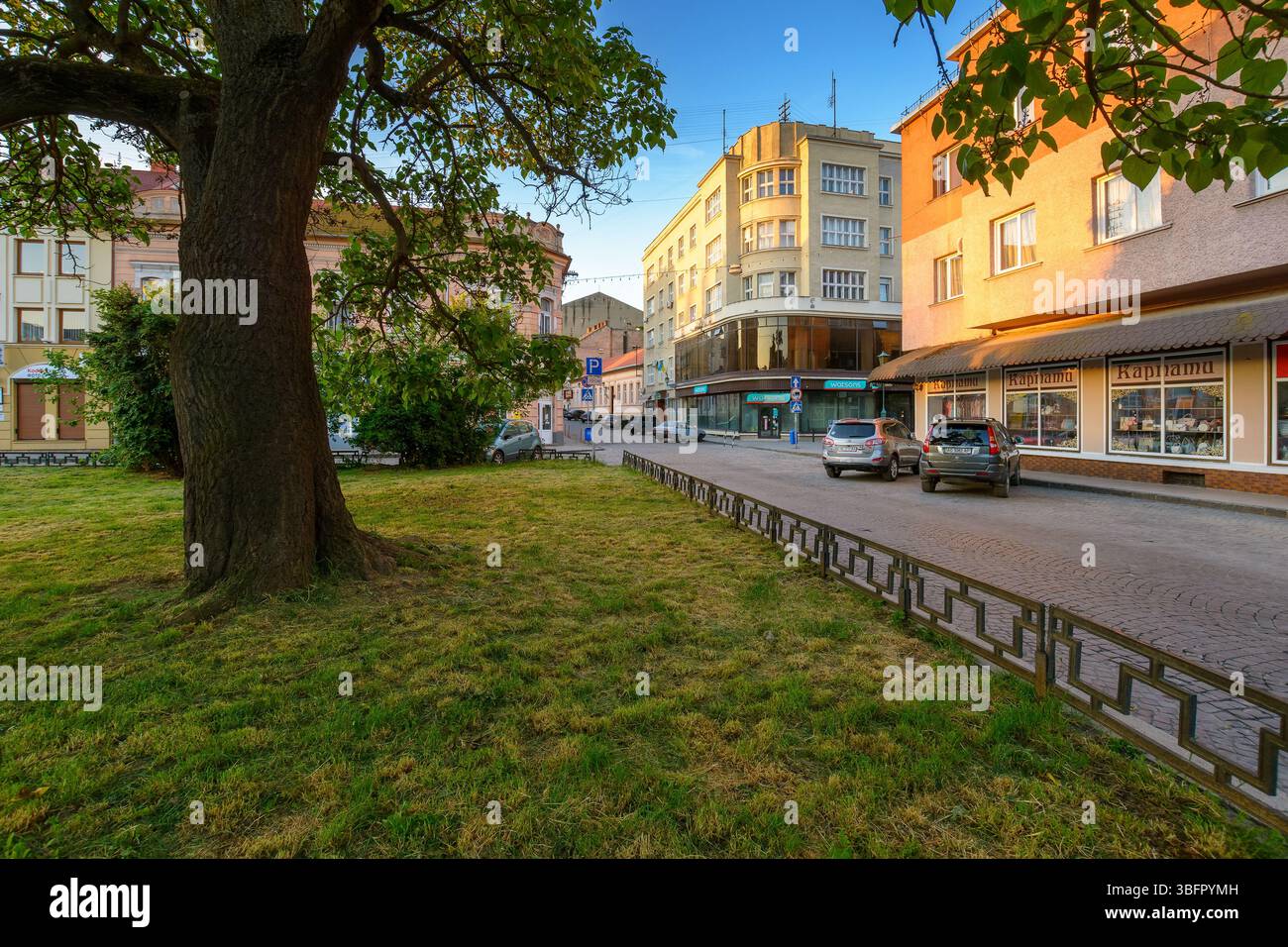 uzhhorod, ukraine - 04 jun 2017: koriatovycha square in morning light. standing under old paulownia tree in the city center. cloudless peaceful blue s Stock Photo