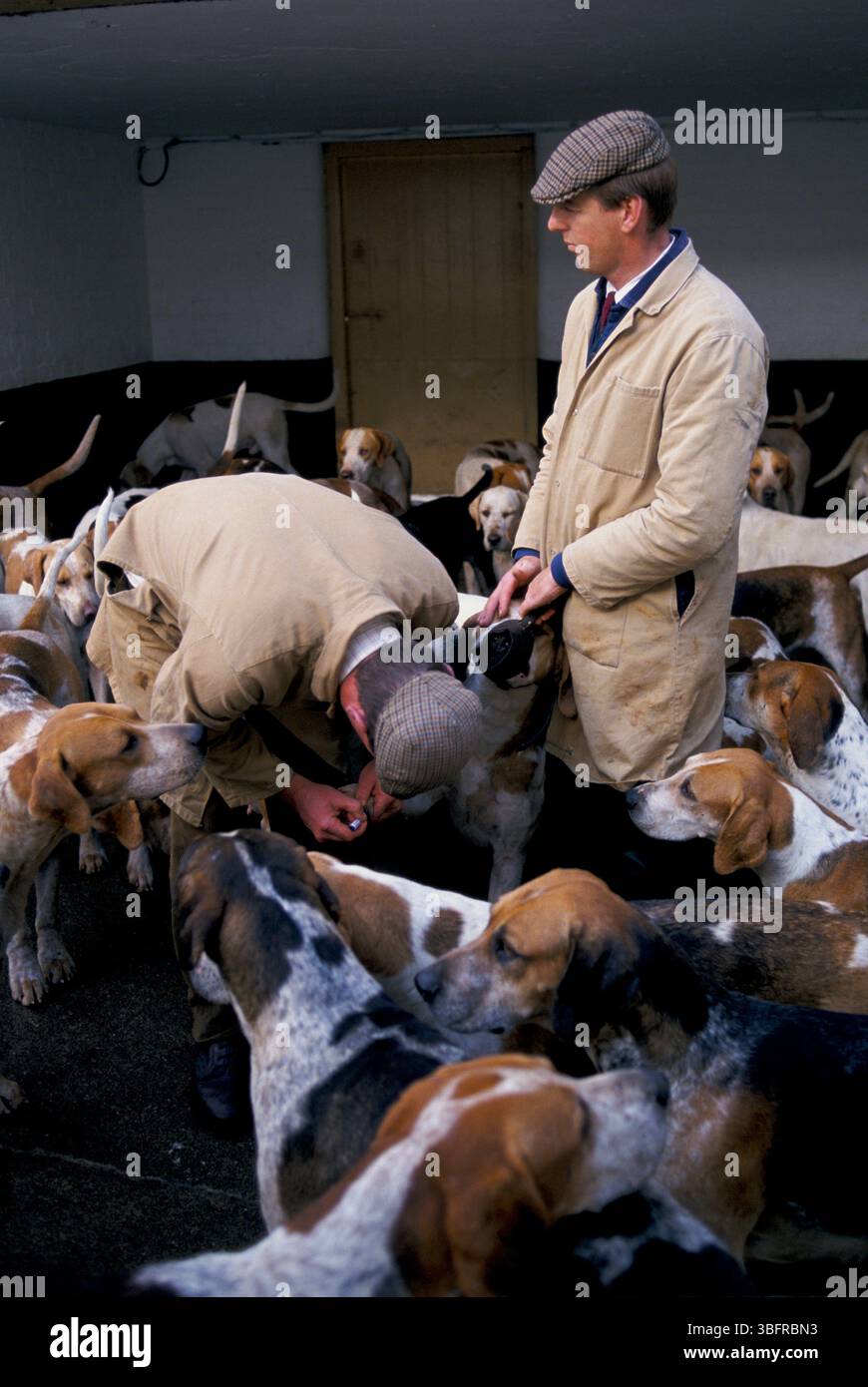 Badminton Duke of Beaufort Hunting Estate Dog Hound Kennels ...
