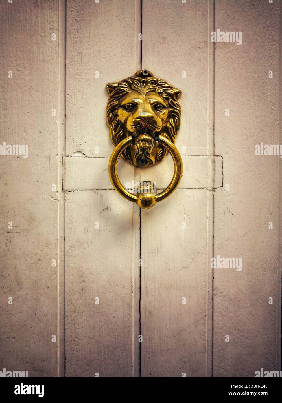 A striking golden lion door knocker captures attention, proudly mounted on a weathered white wooden door. - Smartphone Captured Stock Image