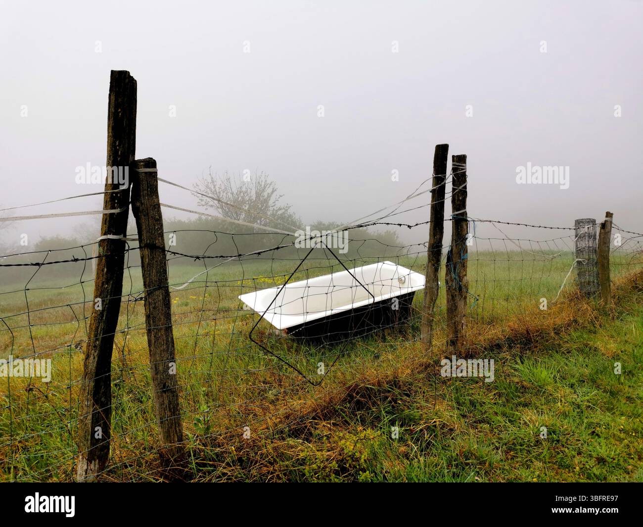 A rusted bathtub rests against a weathered fence, partially hidden by thick fog in a serene rural area during early morning. Auvergne. France Stock Photo