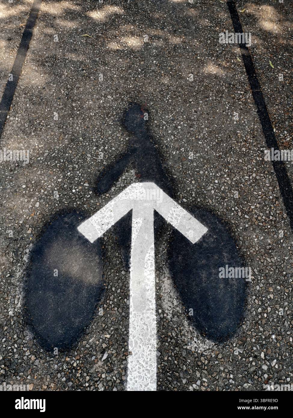 A well-defined bicycle lane marking stands out on the paved pathway, enhanced by the shadow of nearby trees. - Smartphone Captured Stock Image