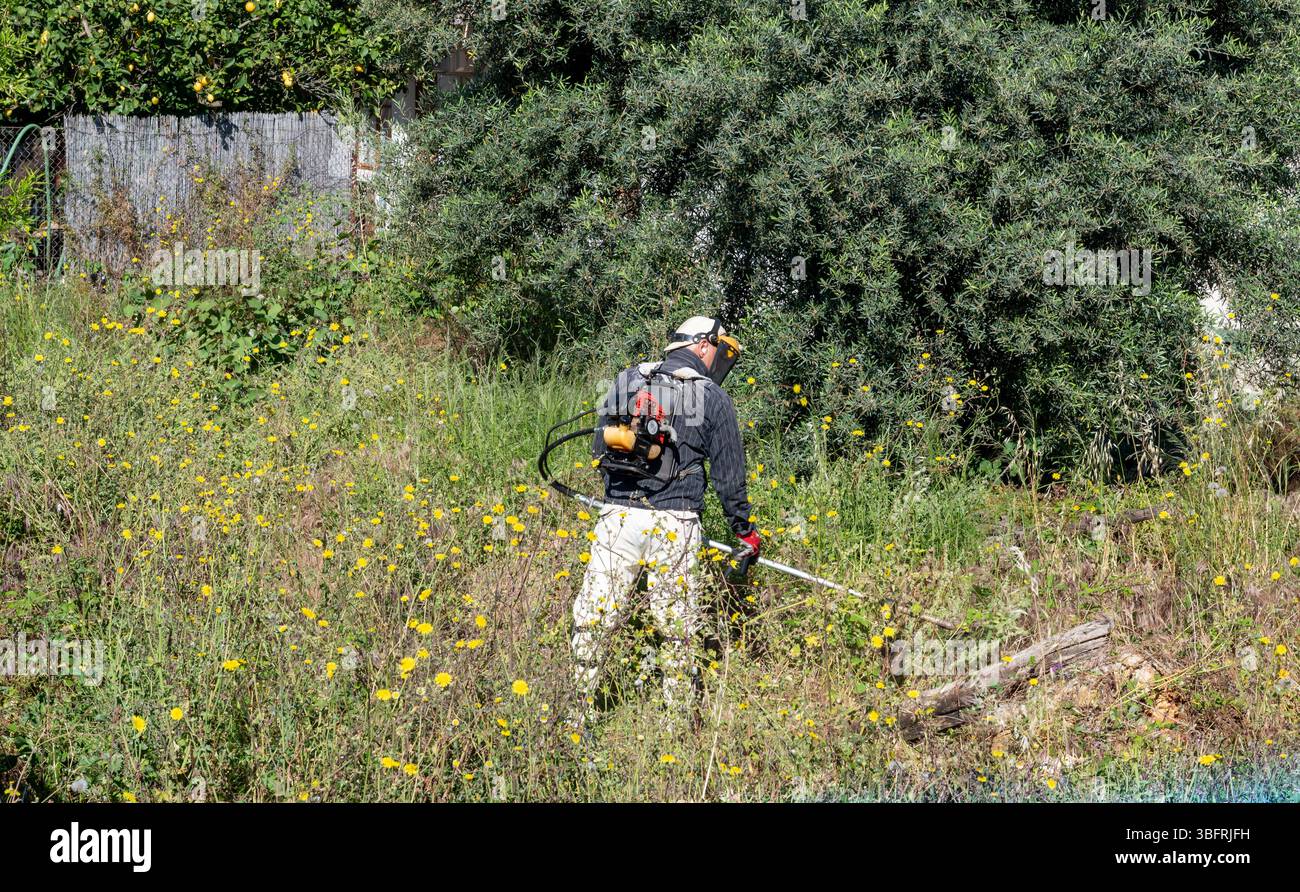 A person using a power trimmer to clear an overgrown field. Stock Photo