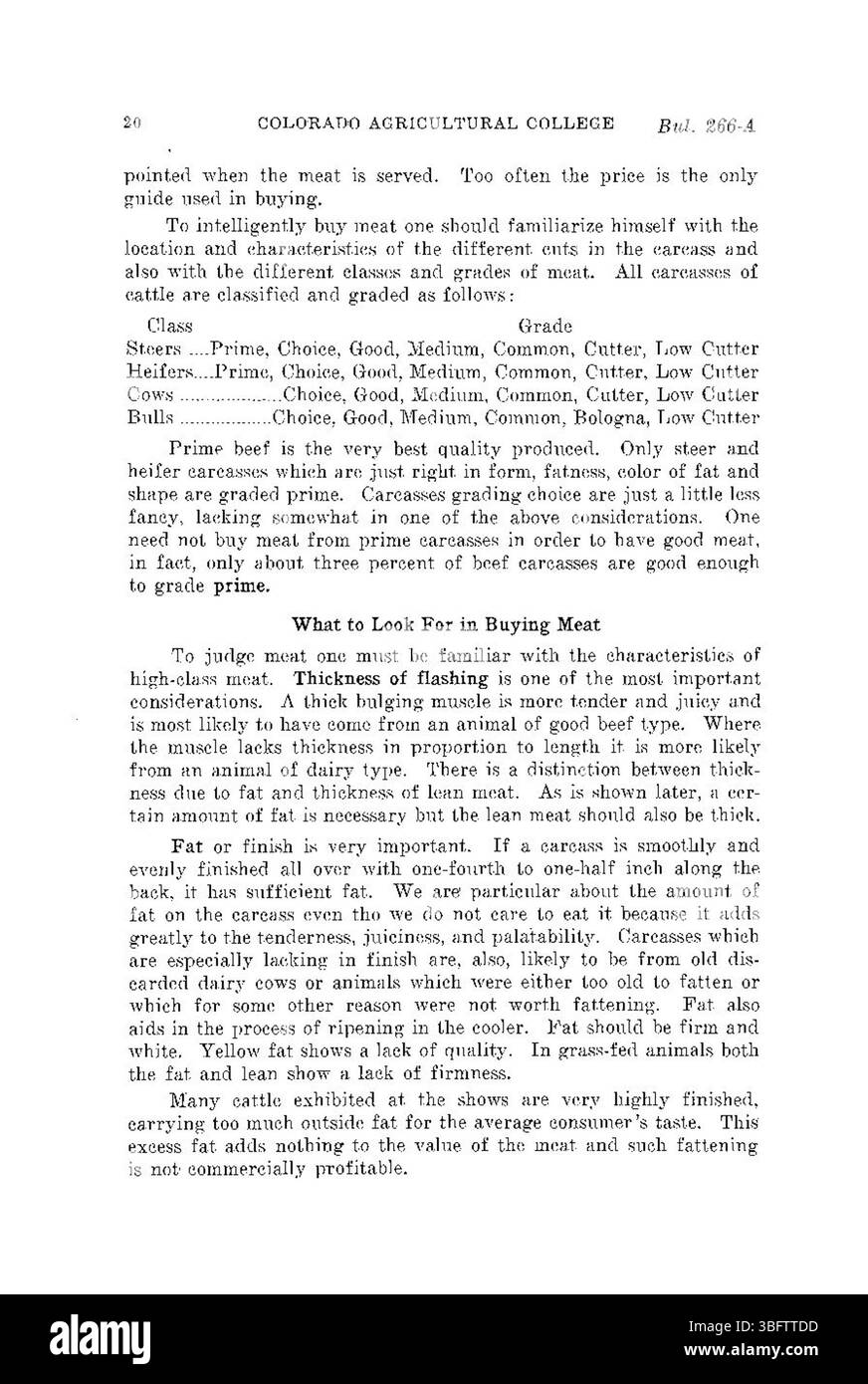 Quality beef production Black and White Stock Photos & Images - Alamy