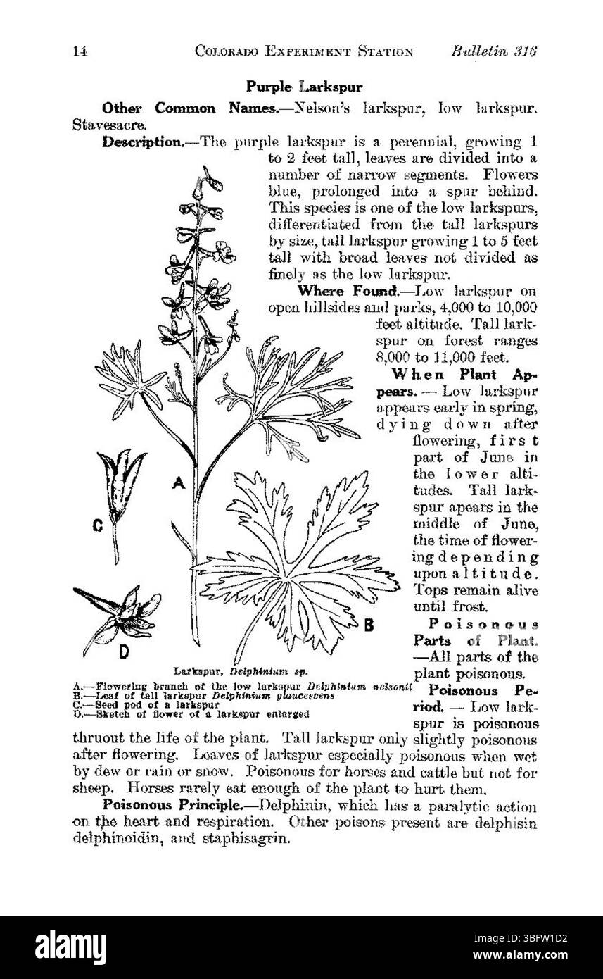 Page 14 covers the mitigation of risks associated with poisonous plants in Colorado, including strategies for preventing contact and managing affected areas. Stock Photo