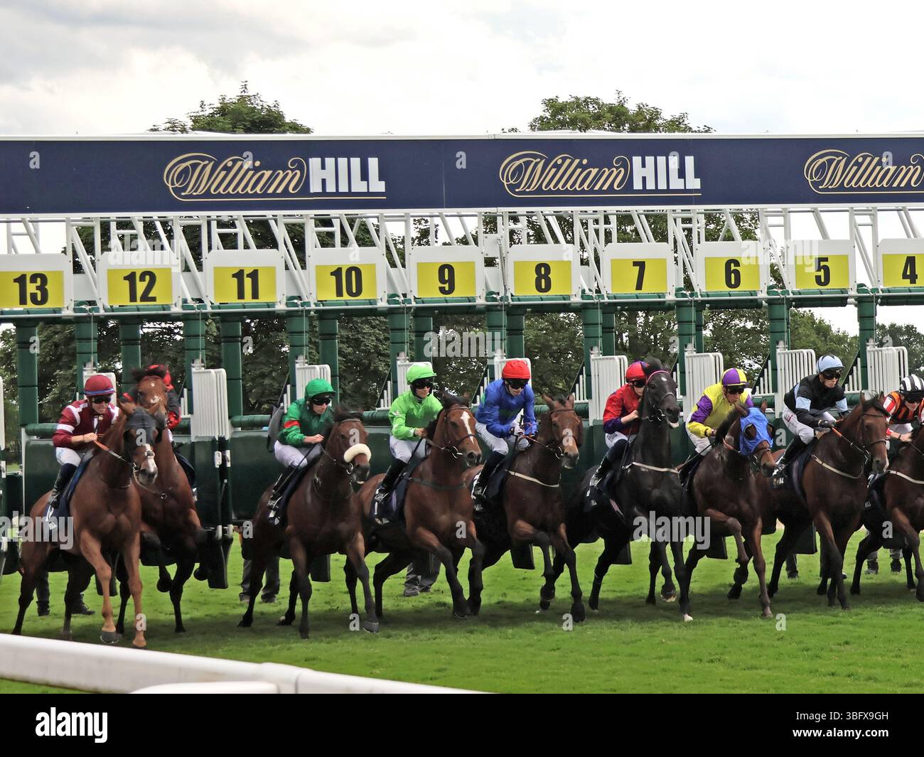 Racehorses break from the starting gates at York Racecourse, England ...