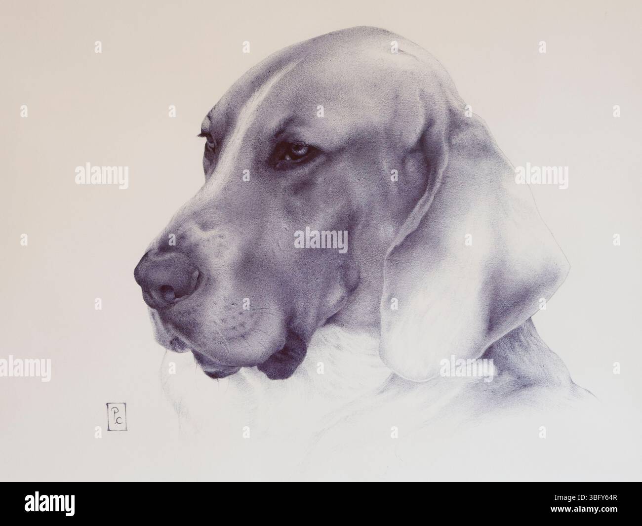 DOG MUSEUM AUBERVILLIERS FRANCE Stock Photo