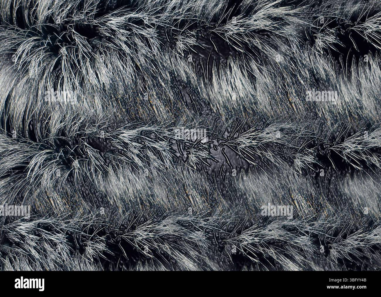 Grey fur texture hi-res stock photography and images - Alamy