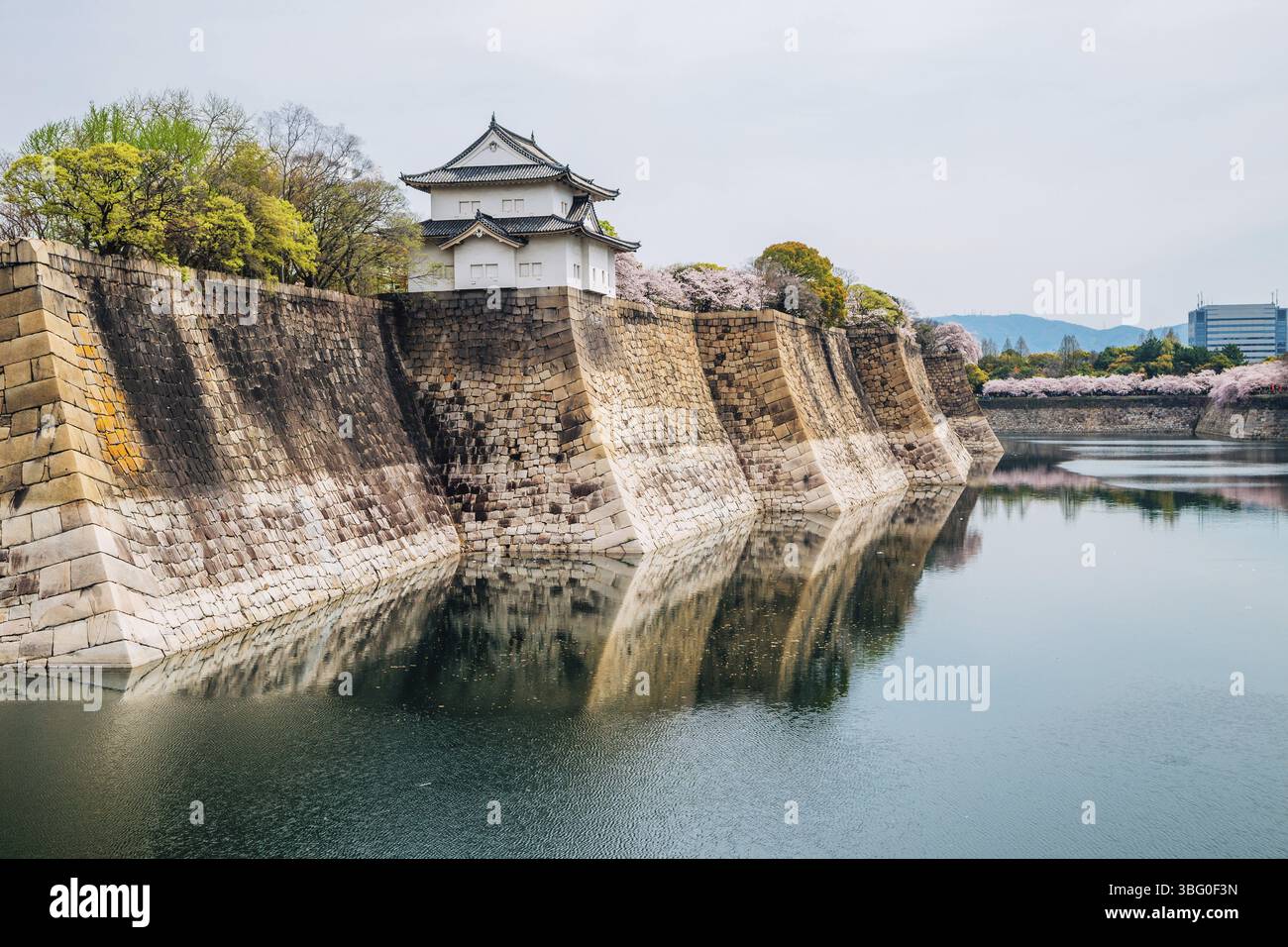 Japanese Spring Castle Osaka castle with cherry blossoms of spring in Japan Stock Photo - Alamy