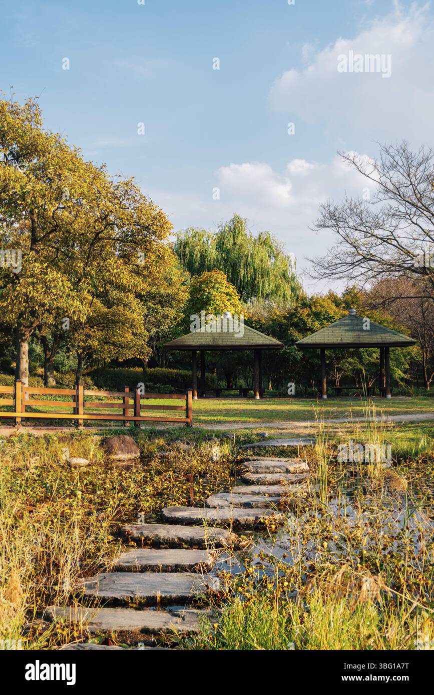 Hanbat Arboretum autumn nature scenery in Daejeon, Korea Stock Photo ...