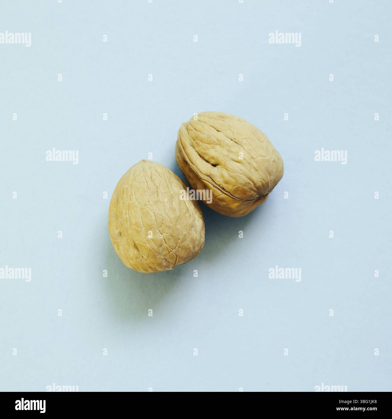 Walnuts on skyblue background Stock Photo