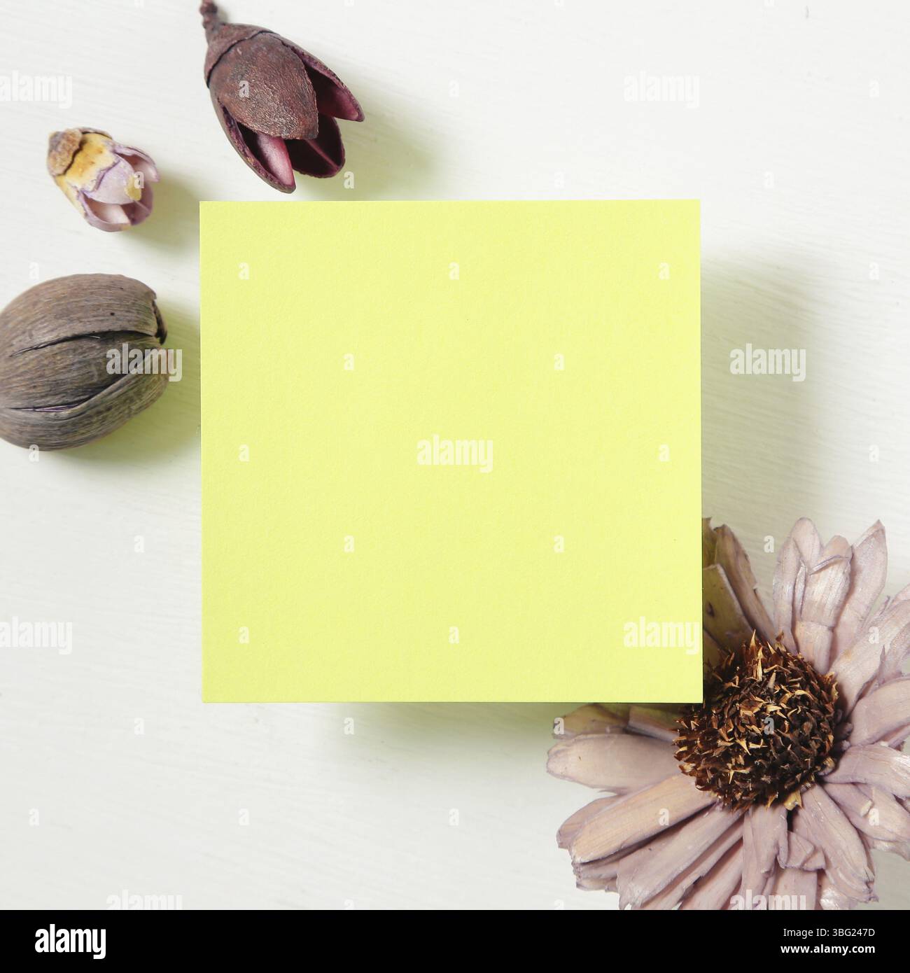Reminder sticky notes with flower on white background Stock Photo