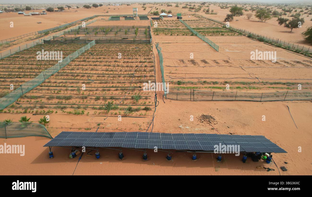 Sino-African Green Technology Park Electrifying the Last Mile: The Rise of African EV Ecosystems