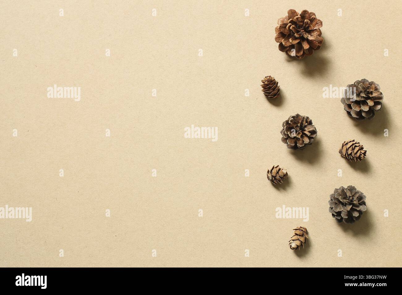 Pine cones on brown background. Autumn concept Stock Photo