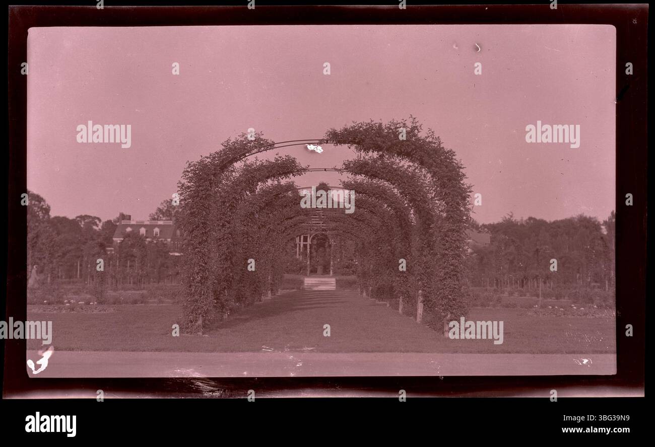 A trellis covered in plants in the rose garden of Hartford, Connecticut's Elizabeth Park Conservancy. A gazebo is visible in the background. The Arrases visited Hartford in 1913 as part of their European tour, documenting American gardens and park landmarks. Stock Photo