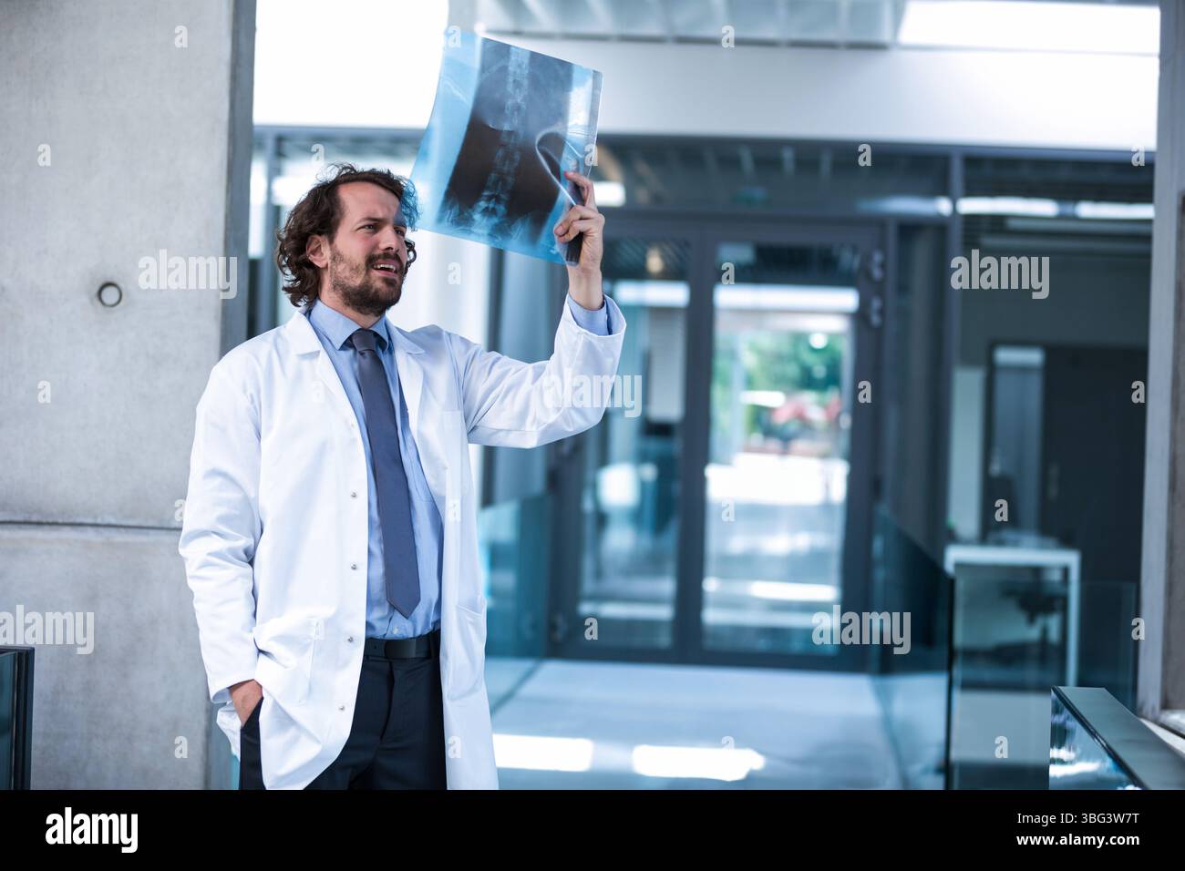 Doctor holding spinal X-ray up to overhead light beside concrete column ...